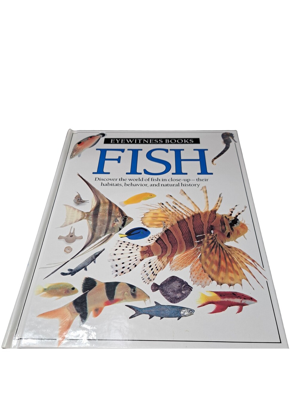 Vintage 1990 first edition of Fish by Eyewitness Books